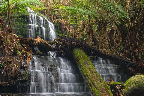 Hobart And Surrounds Photography Workshop - Schoolies Week Accommodation 4