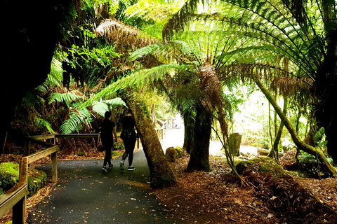 2-Day: Hiking Tour: Maria Island & Mount Field - Schoolies Week Accommodation 4