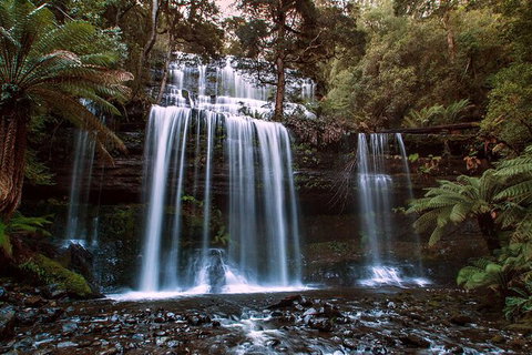 2-Day: Hiking Tour: Maria Island & Mount Field - Schoolies Week Accommodation 10