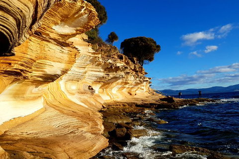 2-Day: Hiking Tour: Maria Island & Mount Field - Schoolies Week Accommodation 7