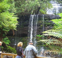 Mt Field National Park and Russell Falls from Hobart - Schoolies Week Accommodation