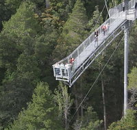 Cruise Ship Special from Hobart Mt Wellington and Tahune AirWalk - Schoolies Week Accommodation