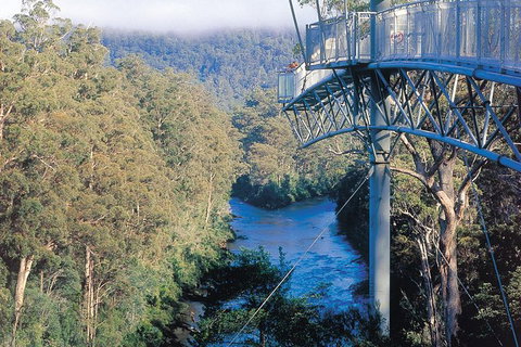 Small-groupTour From Hobart: Mt. Wellington, Huon Valley And Tahune AirWalk - Schoolies Week Accommodation 0