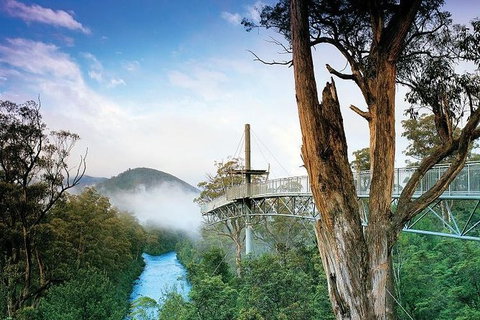 Small-groupTour From Hobart: Mt. Wellington, Huon Valley And Tahune AirWalk - Schoolies Week Accommodation 1