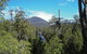 Small-groupTour From Hobart: Mt. Wellington, Huon Valley And Tahune AirWalk - thumb 7