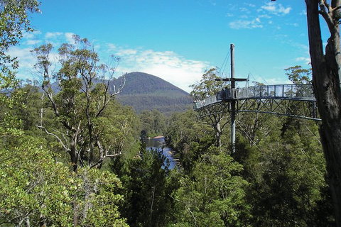 Small-groupTour From Hobart: Mt. Wellington, Huon Valley And Tahune AirWalk - Schoolies Week Accommodation 7