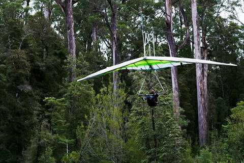 Small-groupTour From Hobart: Mt. Wellington, Huon Valley And Tahune AirWalk - Schoolies Week Accommodation 4