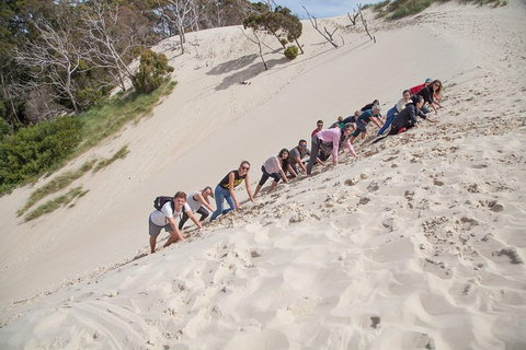 6-Day Tasmanian Explorer Adventure Tour From Hobart - Schoolies Week Accommodation 3