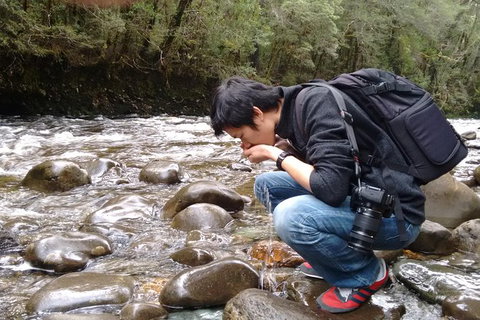 6-Day Tasmanian Explorer Adventure Tour From Hobart - Schoolies Week Accommodation 6