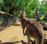 Wilderness and Wildlife - Schoolies Week Accommodation