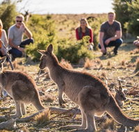 8-Day Tasman Wildlife and Wilderness Encounter Including Accommodation - Schoolies Week Accommodation