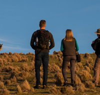 Small Group Tasmanias Wilderness And Wildlife Day Tour - Schoolies Week Accommodation