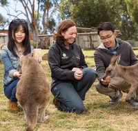 Bonorong Wildlife Park and Richmond Afternoon Tour from Hobart - Schoolies Week Accommodation