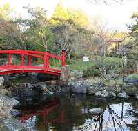 Small-group tour from Hobart Native Flora and Fauna incl. Royal Bot. Gardens - Schoolies Week Accommodation
