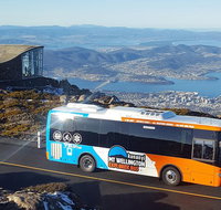 Kunany / Mt Wellington Explorer Bus - 2 Hour Return Tour - Schoolies Week Accommodation