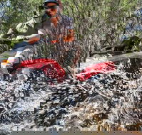 Quad Bike 2-Hour Adventure Freycinet National Park - Schoolies Week Accommodation