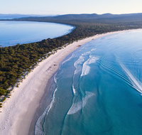 Maria Island Cruise  Walk. Renowned day tour with drinks and guided walk - Schoolies Week Accommodation