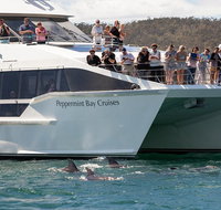 The Peppermint Bay Lunch Cruise from Hobart - Schoolies Week Accommodation