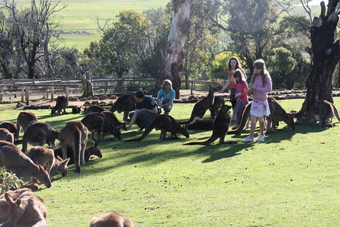 The Port Arthur MEGA Day Trip From Hobart - Schoolies Week Accommodation 5