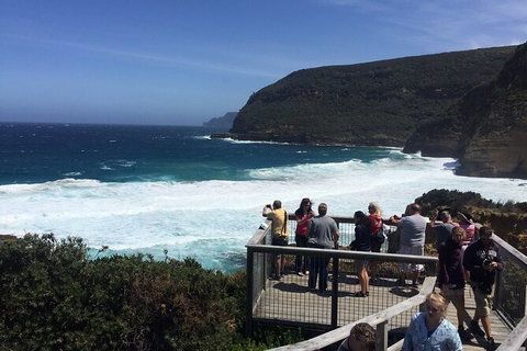 The Port Arthur MEGA Day Trip From Hobart - Schoolies Week Accommodation 4