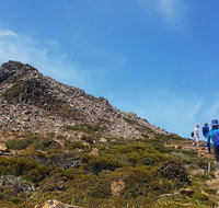 Hartz Peak Hiking Tour - Hartz Mountains National Park - Schoolies Week Accommodation