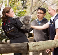 3 of Hobart's best experiences in one day - Mt Wellington Richmond and Bonorong - Schoolies Week Accommodation