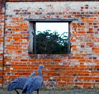 Private Maria Island Hiking tour with Gourmet Lunch - Schoolies Week Accommodation