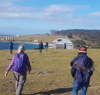 4-Day Hobart Adventure Tour Maria Island Cape Raoul Mount Field Cape Hauy - Schoolies Week Accommodation