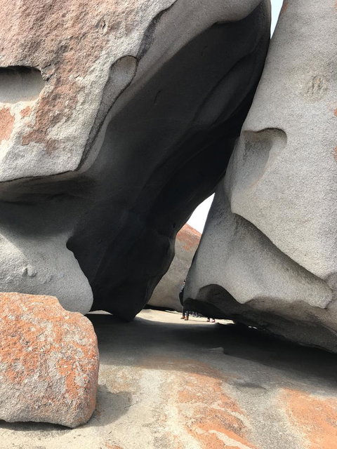 Kangaroo Island In A Day Tour From Adelaide - Schoolies Week Accommodation 7