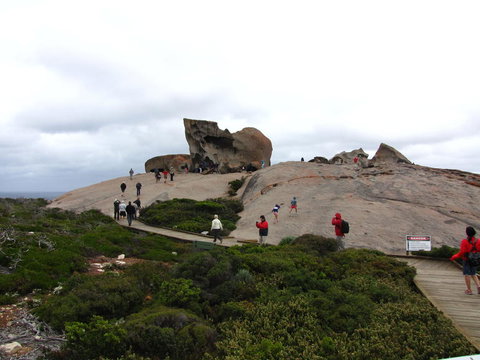 Kangaroo Island In A Day Tour From Adelaide - Schoolies Week Accommodation 21