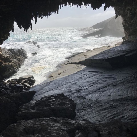 Kangaroo Island In A Day Tour From Adelaide - Schoolies Week Accommodation 5