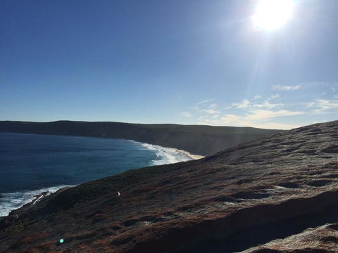 Kangaroo Island In A Day Tour From Adelaide - Schoolies Week Accommodation 17