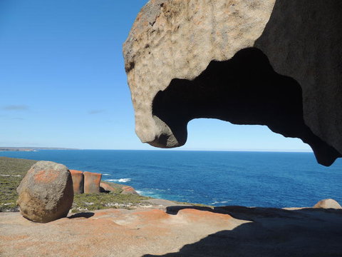 Kangaroo Island In A Day Tour From Adelaide - Schoolies Week Accommodation 13