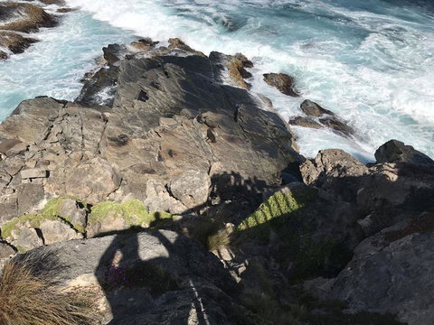 Kangaroo Island In A Day Tour From Adelaide - Schoolies Week Accommodation 3