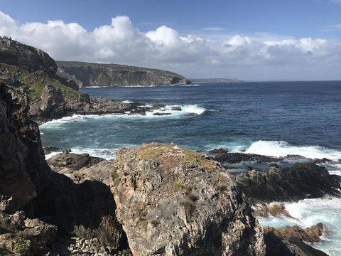 Kangaroo Island In A Day Tour From Adelaide - Schoolies Week Accommodation 4