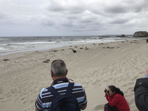 Kangaroo Island In A Day Tour From Adelaide - Schoolies Week Accommodation 10