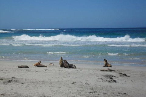 Kangaroo Island In A Day Tour From Adelaide - Schoolies Week Accommodation 0