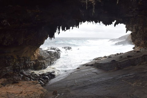 Kangaroo Island In A Day Tour From Adelaide - Schoolies Week Accommodation 18