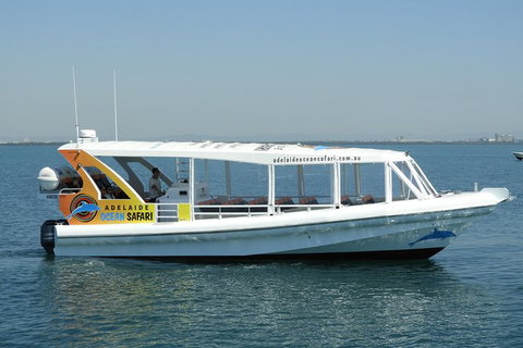 Adelaide Ocean Safari - Wild Dolphin Safari - Schoolies Week Accommodation 0