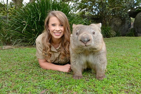 Croc Express To Australia Zoo From Brisbane - Schoolies Week Accommodation 0