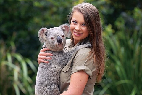 Croc Express To Australia Zoo From Brisbane - Schoolies Week Accommodation 7