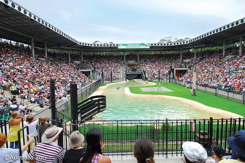 Croc Express To Australia Zoo From Brisbane - Schoolies Week Accommodation 12