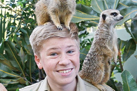 Croc Express To Australia Zoo From Brisbane - Schoolies Week Accommodation 9