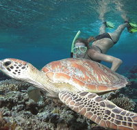 Great Barrier Reef Sailing and Snorkeling Cruise from Port Douglas - Schoolies Week Accommodation
