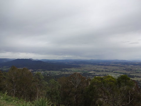 Springbrook AndTamborine Rainforest Tour Incl Natural Bridge And Glow Worm Cave - Schoolies Week Accommodation 7