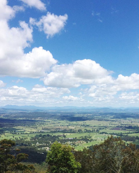 Springbrook AndTamborine Rainforest Tour Incl Natural Bridge And Glow Worm Cave - Schoolies Week Accommodation 5