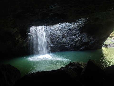Springbrook AndTamborine Rainforest Tour Incl Natural Bridge And Glow Worm Cave - Schoolies Week Accommodation 2