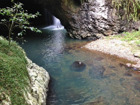 Springbrook AndTamborine Rainforest Tour Incl Natural Bridge And Glow Worm Cave - Schoolies Week Accommodation 6