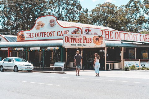 Springbrook AndTamborine Rainforest Tour Incl Natural Bridge And Glow Worm Cave - Schoolies Week Accommodation 11