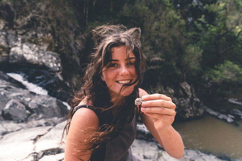 Springbrook AndTamborine Rainforest Tour Incl Natural Bridge And Glow Worm Cave - Schoolies Week Accommodation 10